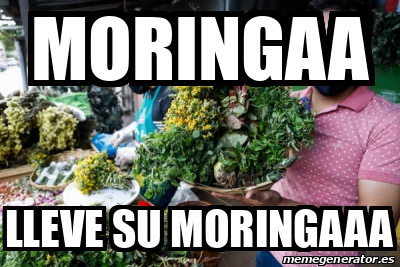 Meme Personalizado - Moringaa lleve su moringaaa - 31969104