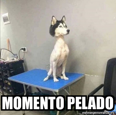 Meme Personalizado Momento Pelado