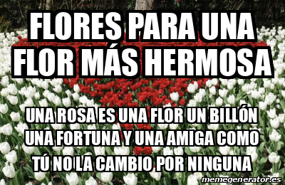 Meme Personalizado - Flores para una flor más hermosa Una rosa es una ...