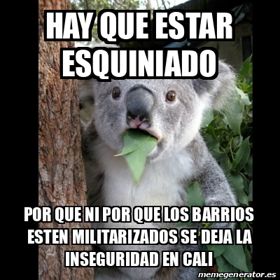 Meme Koala - hay que estar esquiniado por que ni por que los barrios ...