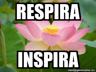 Meme Personalizado Respira Inspira