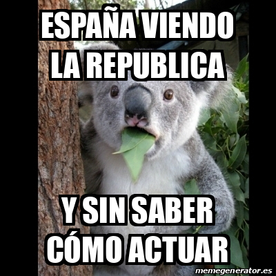 Meme Koala - España viendo la republica Y sin saber cómo actuar - 32286755