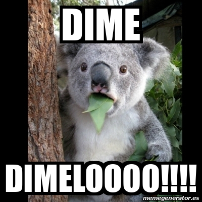 Meme Koala - dime dimeloooo!!!! - 32346932