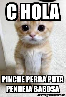 Meme Personalizado C HOLA Pinche Perra Puta Pendeja Babosa