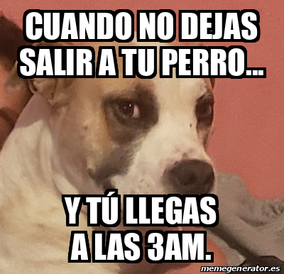 Meme Personalizado Cuando No Dejas Salir A Tu Perro Y T Llegas A Las Am