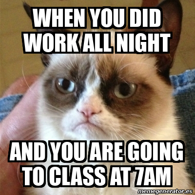 Meme Grumpy Cat - When You Did Work All Night And You Are Going To 