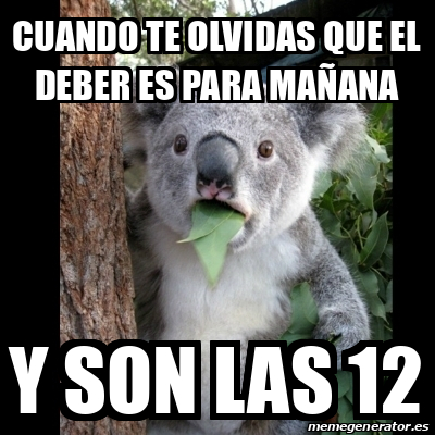 Meme Koala - Cuando Te Olvidas Que El Deber Es Para Mañana Y Son Las 12 