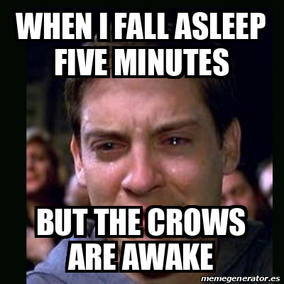 Meme crying peter parker - when i fall asleep five minuteS but the ...