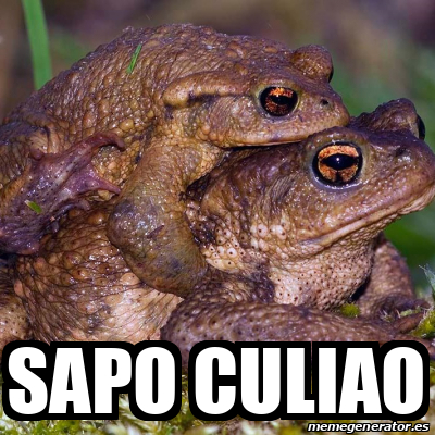 Meme Personalizado Sapo Culiao