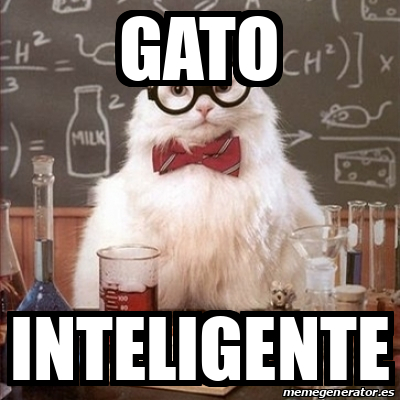 Meme Chemistry Cat - Gato Inteligente - 32536573