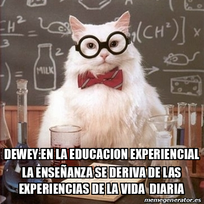 Meme Chemistry Cat - DEWEY:EN LA EDUCACION EXPERIENCIAL LA ENSEÑANZA SE ...