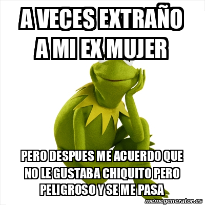 Meme Kermit the frog - a veces extraño a mi ex mujer pero despues me ...