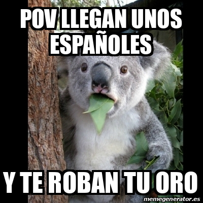 Meme Koala - POV LLEGAN UNOS ESPAÑOLES Y TE ROBAN TU ORO - 33106162