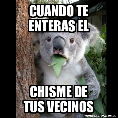 Meme Koala - cuando te enteras el chisme de tus vecinos - 33167593