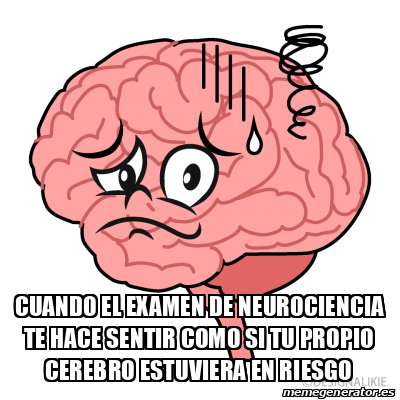 Meme Personalizado - Cuando el examen de neurociencia te hace sentir ...