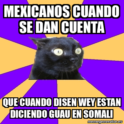 Meme Anxiety Cat Mexicanos Cuando Se Dan Cuenta Que Cuando Disen Wey