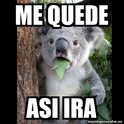 Meme Koala Me Quede Asi Ira