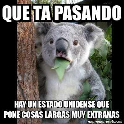 Meme Koala - que ta pasando hay un estado unidense que pone cosas ...