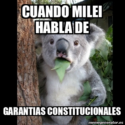 Meme Koala - cuando milei habla de garantias constitucionales - 33226634