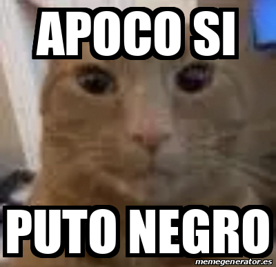 Meme Personalizado Apoco Si Puto Negro