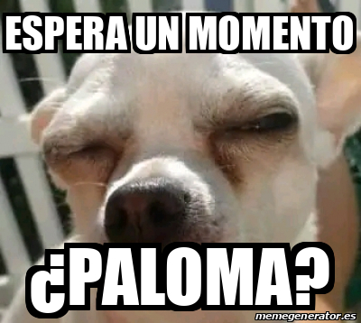 Meme Personalizado Espera Un Momento Paloma