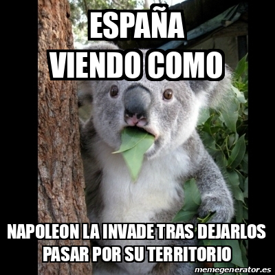 Meme Koala - España viendo como Napoleon la invade tras dejarlos pasar ...