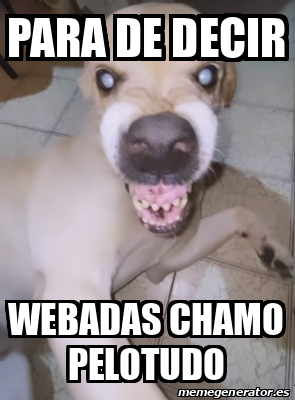 Meme Personalizado Para De Decir Webadas Chamo Pelotudo