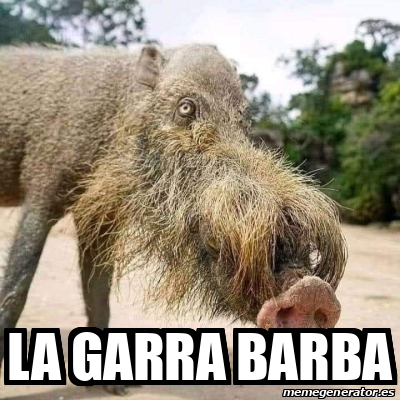 Meme Personalizado - La garra barba - 33319320