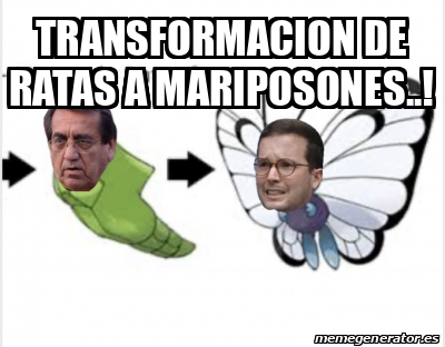 Meme Personalizado - TRANSFORMACION DE RATAS A MARIPOSONES..! - 33325667