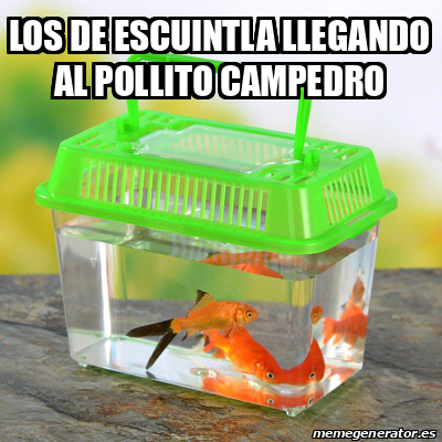 Meme Personalizado Los De Escuintla Llegando Al Pollito Campedro