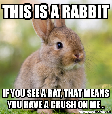 Meme Personalizado - This is a Rabbit If you see a rat, that means you ...
