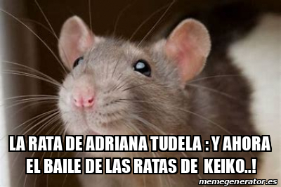 Meme Personalizado - LA RATA DE ADRIANA TUDELA : Y AHORA EL BAILE DE ...