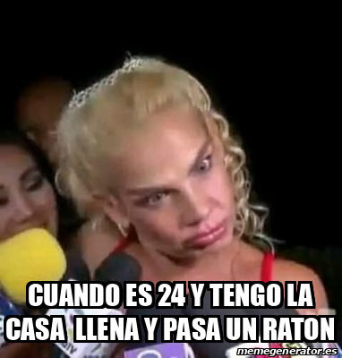 Meme Personalizado - Cuando es 24 y tengo la casa llena y pasa un raton ...