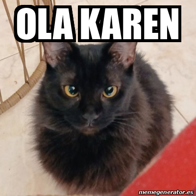 Meme Personalizado Ola Karen