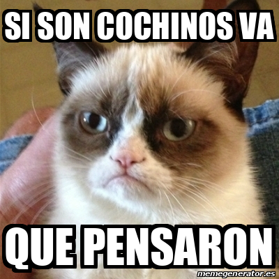 Meme Grumpy Cat - Si son cochinos va Que pensaron - 33073542