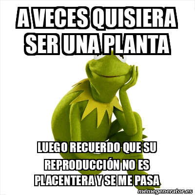 Meme Kermit The Frog A Veces Quisiera Ser Una Planta Luego Recuerdo