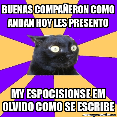 Meme Anxiety Cat BUENAS COMPAÑERON COMO ANDAN HOY LES PRESENTO MY