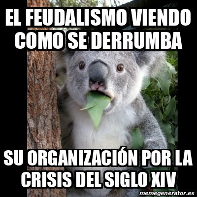 Meme Koala - El feudalismo viendo como se derrumba su organización por ...