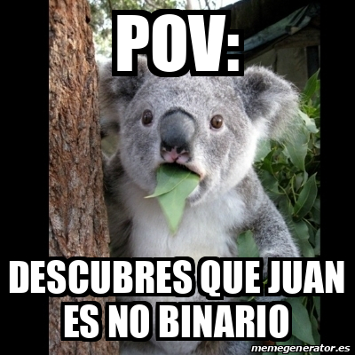 Meme Koala - POV: Descubres que Juan es no binario - 33096959