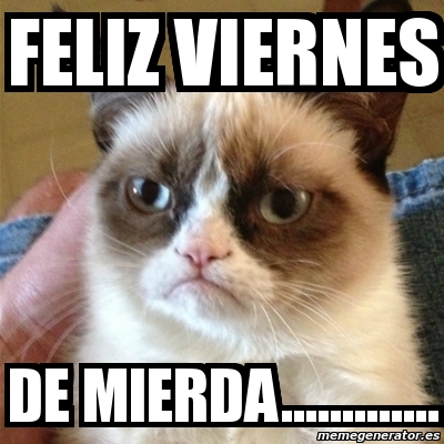 Feliz Viernes Meme Gato