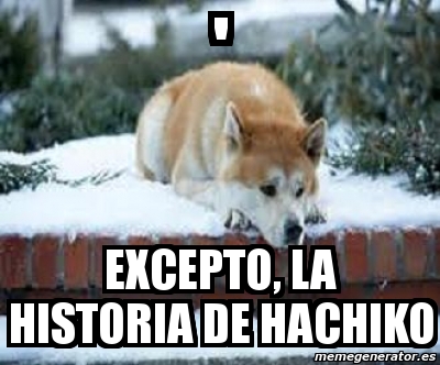 hachiko meme