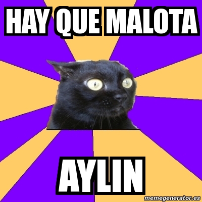 Meme Anxiety Cat Hay Que Malota Aylin