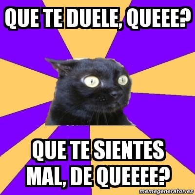 Meme Anxiety Cat - Que te duele, queee? Que te sientes mal, de queeee ...