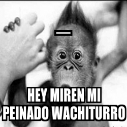 Meme Personalizado Hey Miren Mi Peinado Wachiturro