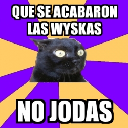 Meme Anxiety Cat Que Se Acabaron Las Wyskas No Jodas