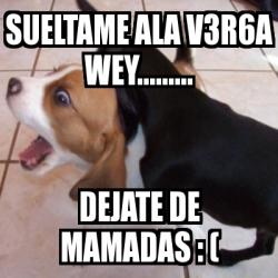 Meme Personalizado Sueltame Ala V R A Wey Dejate De Mamadas