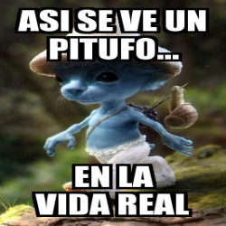 Meme Personalizado Asi Se Ve Un Pitufo En La Vida Real