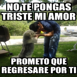 Meme Personalizado No Te Pongas Triste Mi Amor Prometo Que Regresare Por Ti