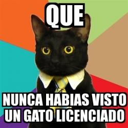 Meme Business Cat Que Nunca Habias Visto Un Gato Licenciado