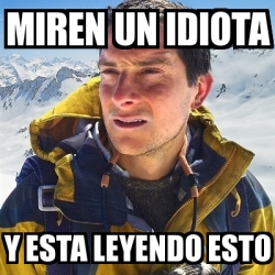 Meme Bear Grylls Miren Un Idiota Y Esta Leyendo Esto 1421860